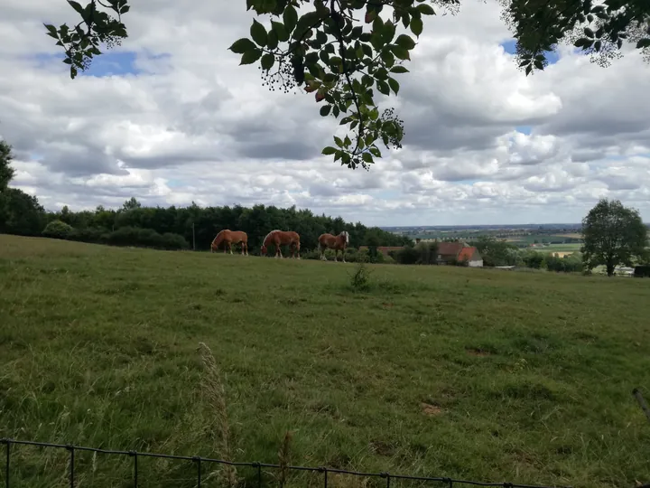 Kemmelberg (België)